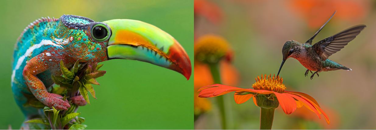 /genetic_algorithms/featured-image.jpg /genetic_algorithms/featured-image.jpg